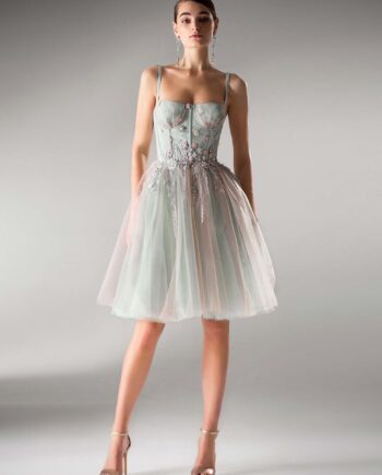 A-line dress with bustier bodice